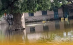 Kaolack : Une vingtaine d'écoles sous les eaux