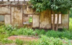 Casamance : Le village de Bissine renait de ses cendres
