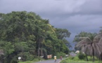 La Casamance, un paradis vert qui s’enlise dans la pauvreté !
