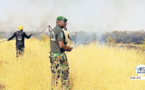 Matam : Des hectares de tapis herbacé emportés par le feu