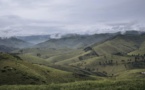 RDC: reprise des combats dans le Masisi