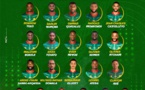 CAN 2024: une liste de 27 joueurs sans Eric Choupo-Moting pour le Cameroun