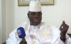 Amnistie : «J’observe attentivement les députés de Sonko », Cheikh Bara Dolli Mbacké