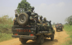 RDC: Deux commandants du groupe armé terroriste "ADF Nalu" éliminés