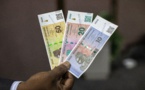 Le «ZiG», nouvelle monnaie du Zimbabwe