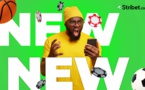 Découvrez les nouveaux bookmakers qui arrivent en ce moment sur stribet.com