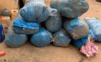 Yenne (Dakar) : 286 kg de chanvre indien saisis