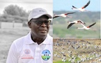Dénombrement 2024 : Dr Adrien Coly révèle 549 316 oiseaux d'Eau recensés au Sénégal