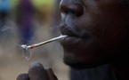 Le kush, une drogue mortelle qui ravage l’Afrique de l’Ouest