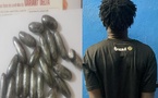 Trafic de drogue : un individu interpellé avec 26 boulettes de cocaïne à Ziguinchor