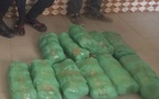Touba : un individu interpellé avec 12 kg de chanvre indien