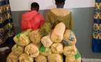 Sédhiou : Saisie de 15 kg de chanvre indien, deux individus interpellés par l’OCTRIS