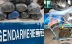 Grosse prise à Fatick : les gendarmes interceptent une charrette chargée de drogue