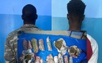 Grand-Yoff : Deux individus arrêtés pour trafic de drogue à SENZELA