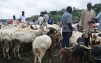 Tabaski: le Niger interdit l'exportation de bétail
