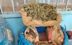 Lutte contre le trafic de drogue : importante saisie de chanvre indien au large de la plage de Hann
