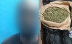 Trafic de drogue à Ziguinchor : 11 kg de chanvre saisis sur un conducteur de moto et un tapissier