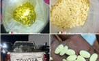Tambacounda : deux individus arrêtés avec 650 comprimés d’ecstasy