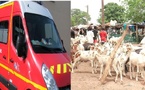 Ziguinchor : un vendeur s’effondre et meurt en pleine vente de moutons