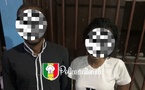 Mbour : 28 personnes interpellées dans une affaire liée à QNET, deux présumés responsables déférés