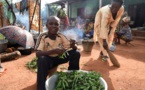 Le PAM et la FAO s'inquiètent de l'insécurité alimentaire en Centrafrique