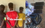Kédougou : trois individus interpellés pour détention de stupéfiants à Bantaco