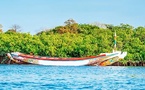 Casamance : un projet de 33 milliards Fcfa pour sauver le fleuve
