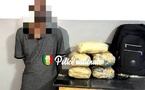 Sédhiou : un homme interpellé avec 20 kg de chanvre indien