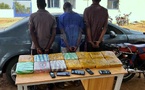 Lutte contre le trafic de drogue : trois individus interpellés à Aéré Lao avec 14 kg de chanvre indien