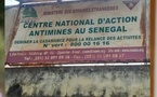 Casamance : Le Directeur général du CNAMS limogé 