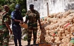 Coup de filet dans le Sud : 9,25 tonnes de chanvre indien saisies par l’armée