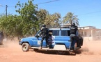 Thiès : des voleurs de bétail prennent la fuite et abandonnent leur véhicule face aux gendarmes