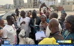 Tabaski : Cheikh Oumar Anne reçoit deux moutons et des tissus offerts par des militants, un geste de solidarité salué