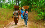 Casamance: La population accuse les ONG de vivre sur leur sang
