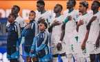 Hommage à nos Lions et à leur encadrement technique et administratif (Par Abdou Sané)