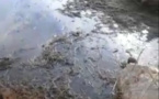 Vidéo: Une camera cachée montre comment les Russes polluent et mettent nos vies en danger 