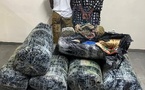 Trafic de drogue : plus de 300 kg de chanvre indien saisis à Thiaroye, deux suspects arrêtés