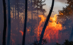 Incendies en France : le gouvernement annonce plus de 160 interpellations