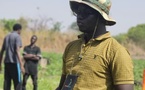Aflatoxine dans le riz : « Ce n'est pas le riz qui est en cause, mais les conditions de conservation », alerte Pape Adama Diouf