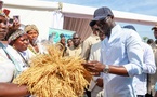 Casamance : une réunion interministérielle annoncée pour relancer le Plan Diomaye
