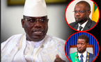 Cheikh Abdou Bara Dolly : « On a confié le Sénégal à des apprentis »