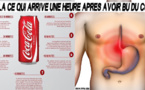 Voilà ce qui arrive à votre corps une heure après avoir bu du Coca (45 minutes est choquant)