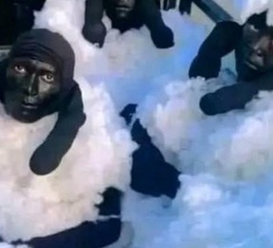 Tentative insolite : ils tentent de rejoindre l’Europe déguisés en moutons