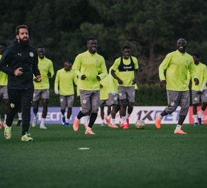 Fenêtre FIFA : les Lions face au Pérou et à la Gambie en mars