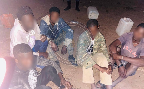 Vol de bétail : un réseau de malfaiteurs démantelé à Sangalkam