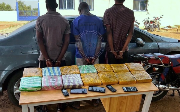 Lutte contre le trafic de drogue : trois individus interpellés à Aéré Lao avec 14 kg de chanvre indien