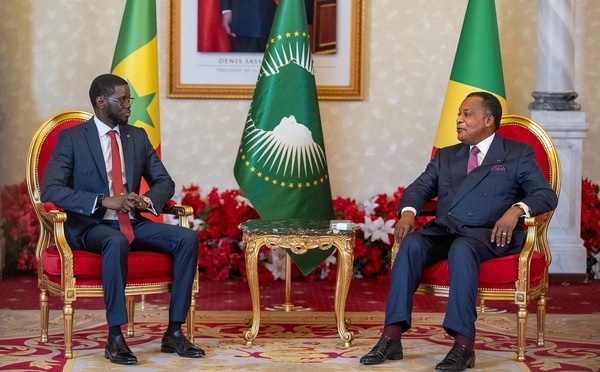 Rencontre Diomaye–Sassou : la candidature de Macky à l’ONU au cœur des discussions, selon un député