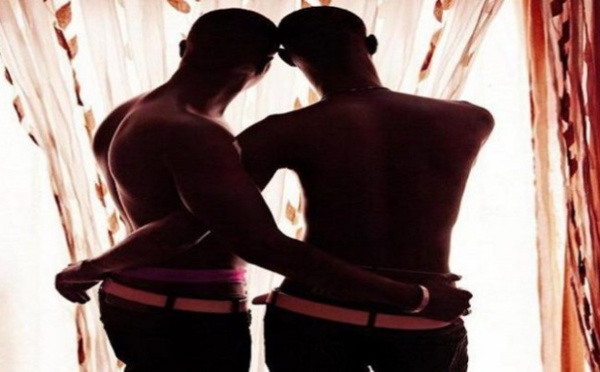 Actes contre nature : un nouveau réseau démantelé, un journaliste de télévision cité 