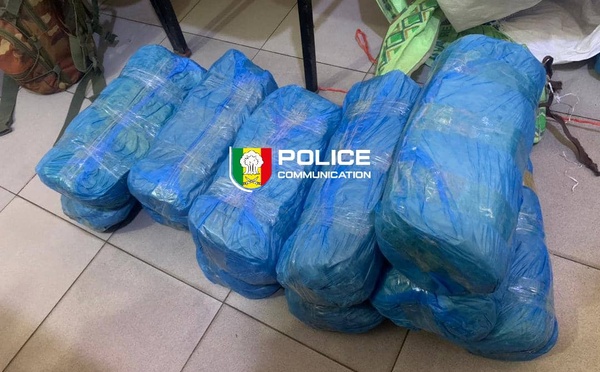 Fatick : saisie de 23 kg de chanvre indien dans la forêt de Pakala