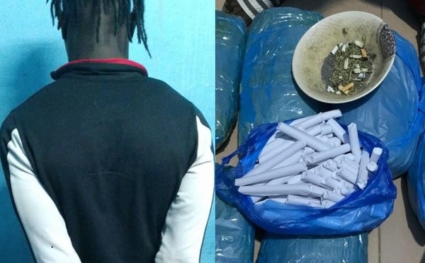 Ziguinchor : la police intercepte un présumé dealer avec 97 cornets de chanvre indien